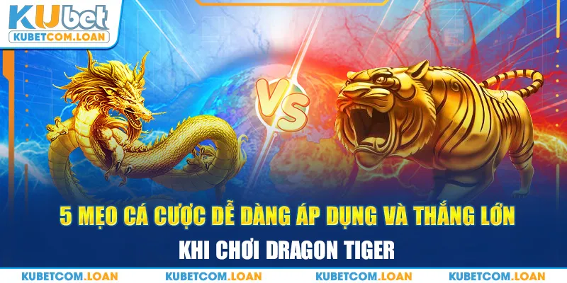 5 mẹo cá cược dễ dàng áp dụng và thắng lớn khi chơi Dragon Tiger