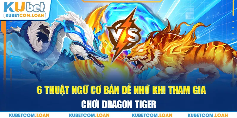 6 thuật ngữ cơ bản dễ nhớ khi tham gia chơi Dragon Tiger